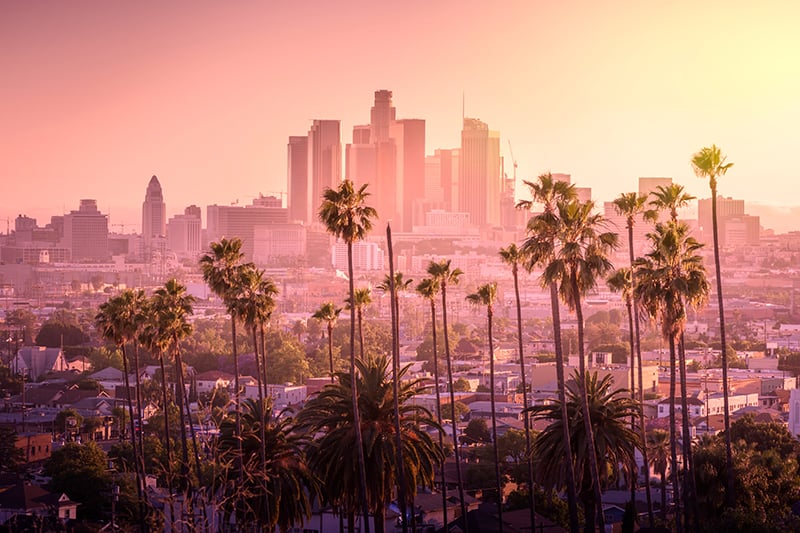 Beautiful sunset of Los Angeles downtown skyline and palm trees - Kenny ...